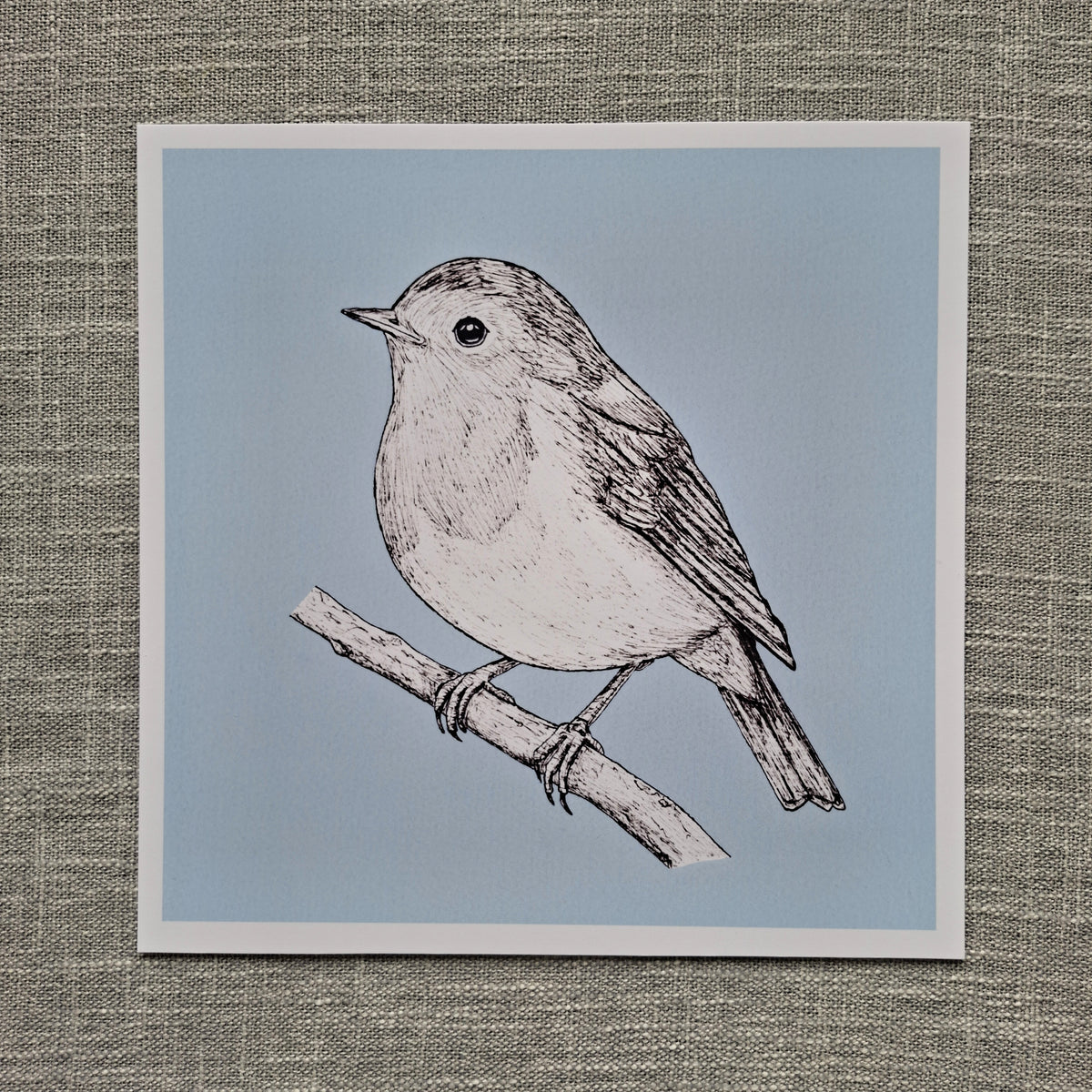 Robin art print 8 x 8 inch unframed