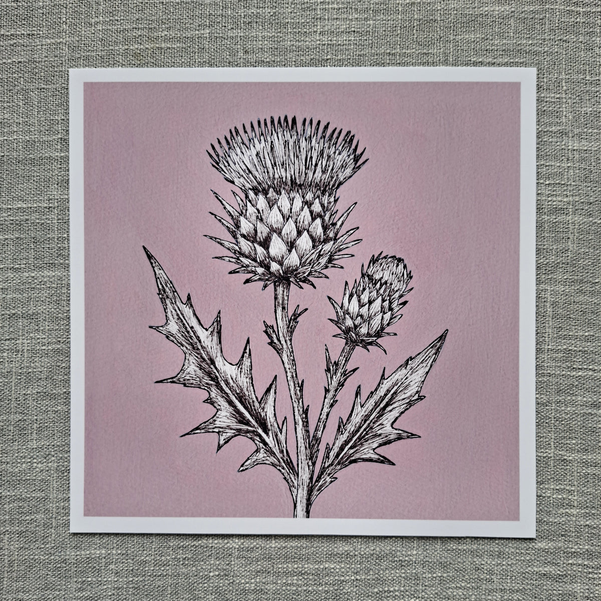 Thistle art print 8 x 8 inch unframed