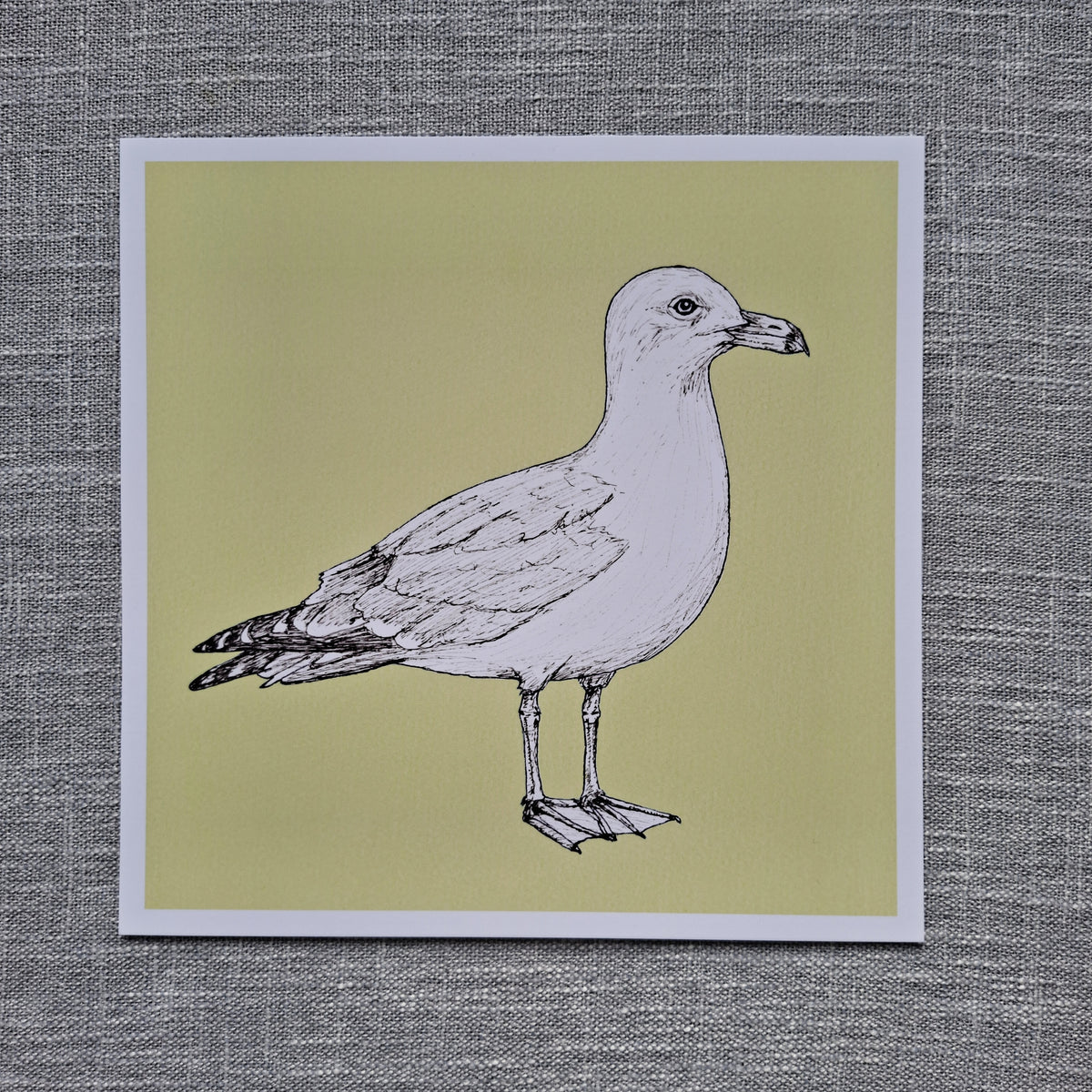 Seagull art print 8 x 8 inch unframed