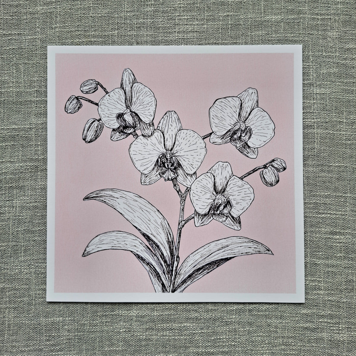 Orchid art print 8 x 8 inch unframed
