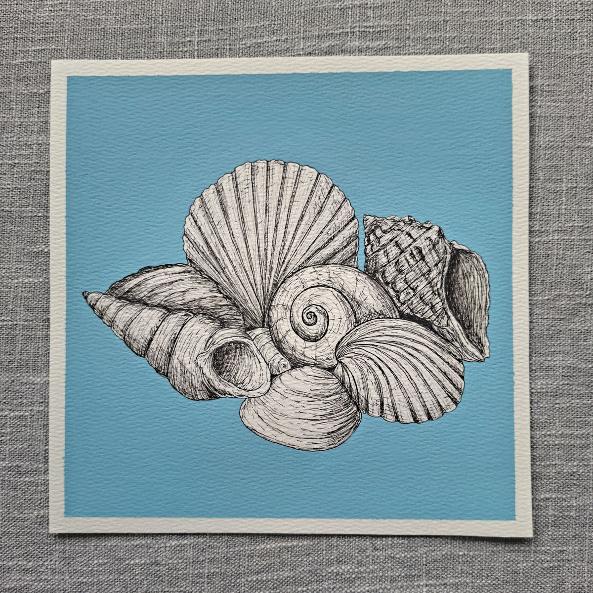 Original Seashells Painting 8 x 8 inch Fineliner and Acrylic Artwork
