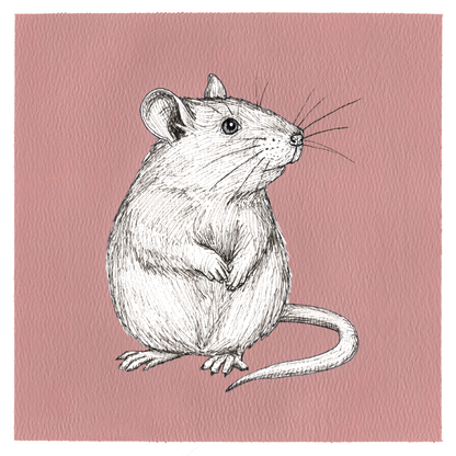 Original Rat Painting 8 x 8 inch Fineliner and Acrylic Artwork
