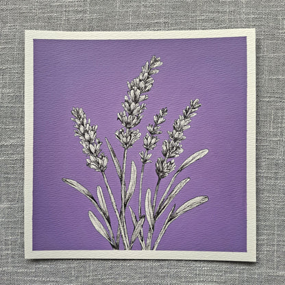 Original Lavender Painting 8 x 8 inch Fineliner and Acrylic Artwork