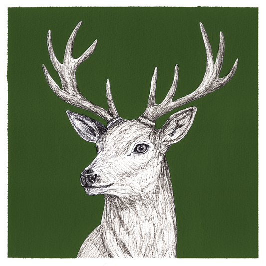 Original Deer Painting 8 x 8 inch Fineliner and Acrylic Artwork