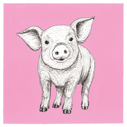 Original Pig Painting 8 x 8 inch Fineliner and Acrylic Artwork