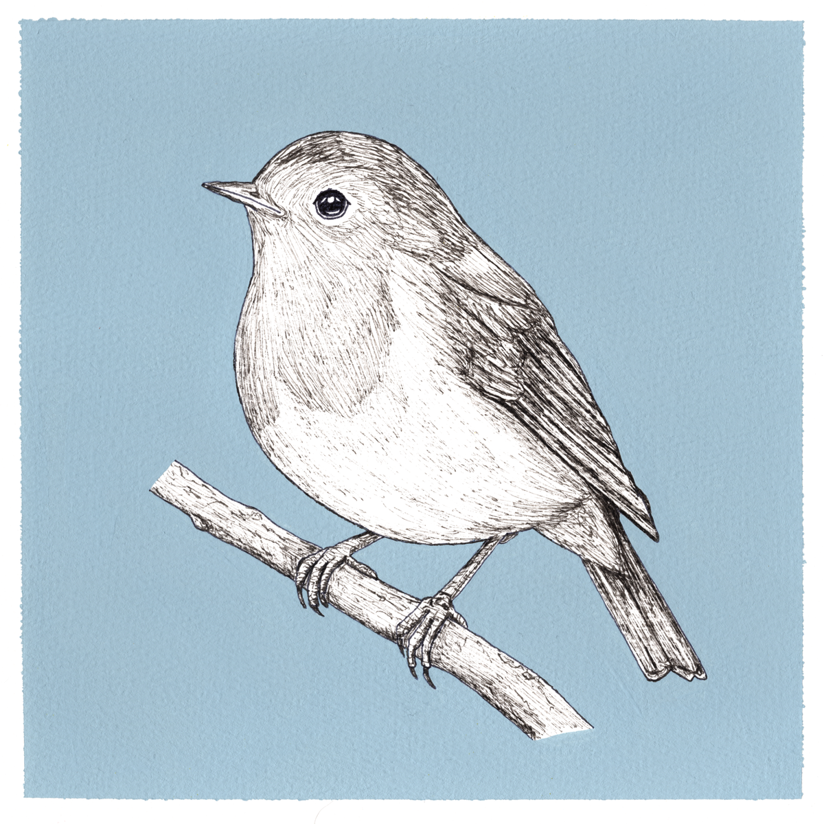 Original Robin Painting 8 x 8 inch Fineliner and Acrylic Artwork