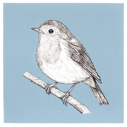 Original Robin Painting 8 x 8 inch Fineliner and Acrylic Artwork