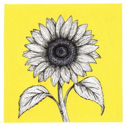 Original Sunflower Painting 8 x 8 inch Fineliner and Acrylic Artwork