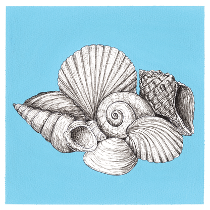 Original Seashells Painting 8 x 8 inch Fineliner and Acrylic Artwork