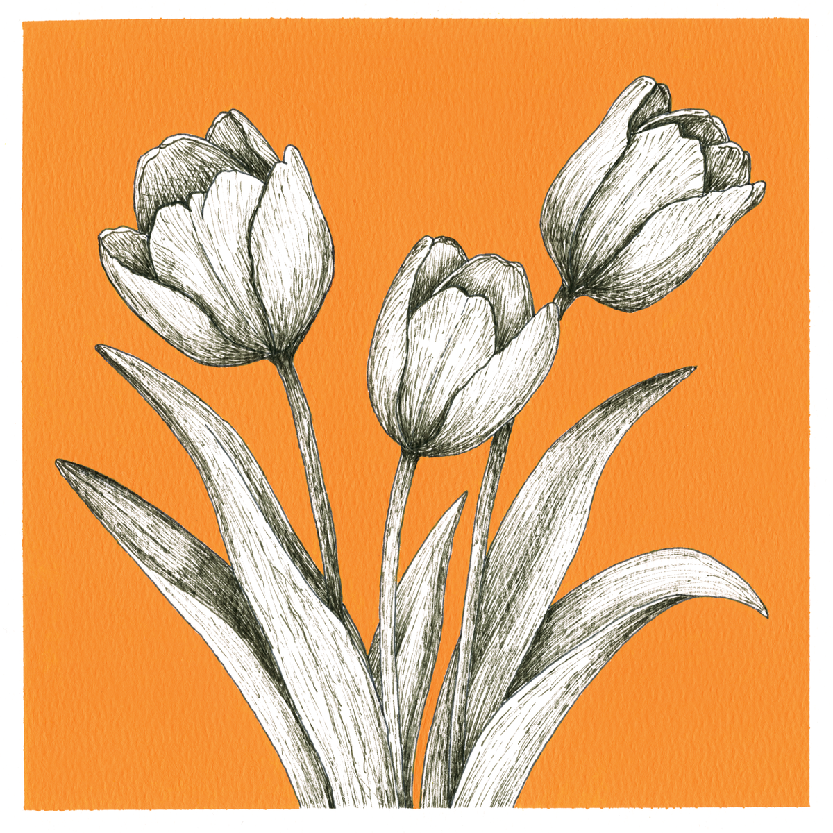 Original Tulips Painting 8 x 8 inch Fineliner and Acrylic Artwork