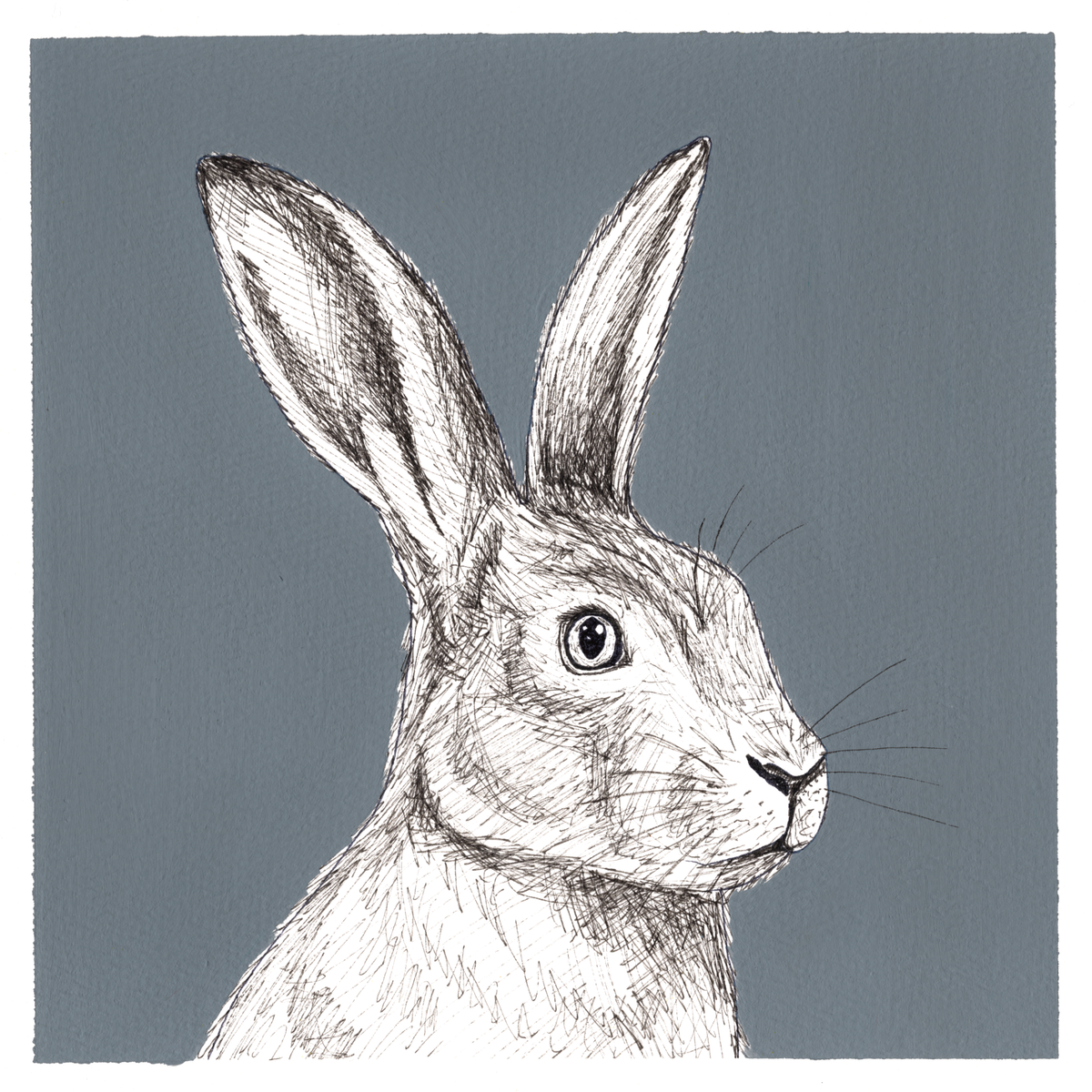 Original Hare Painting 8 x 8 inch Fineliner and Acrylic Artwork