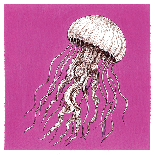 Original Jellyfish Painting 8 x 8 inch Fineliner and Acrylic Artwork