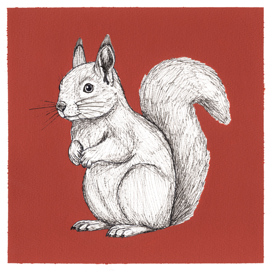 Original Squirrel Painting 8 x 8 inch Fineliner and Acrylic Artwork