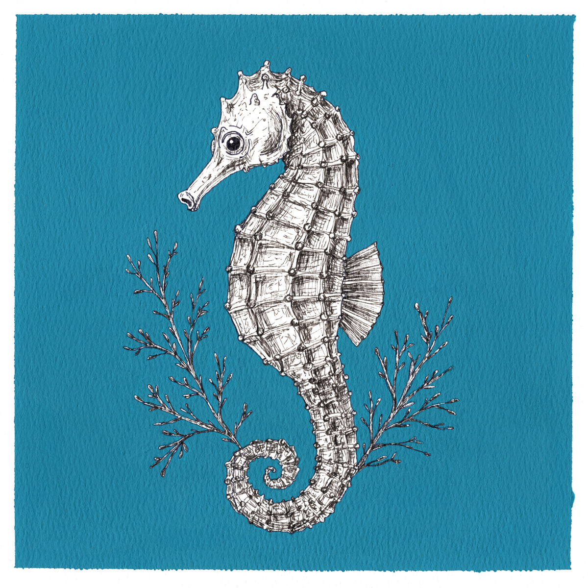 Original Seahorse Painting 8 x 8 inch Fineliner and Acrylic Artwork