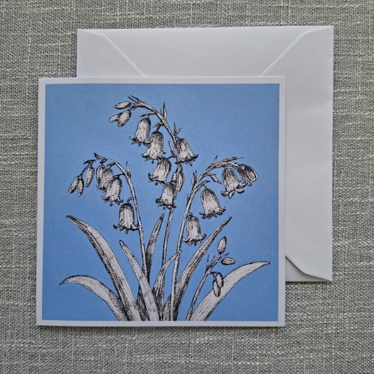 Bluebells blank greeting card 5 x 5 inch