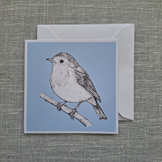Robin blank greeting card 5 x 5 inch