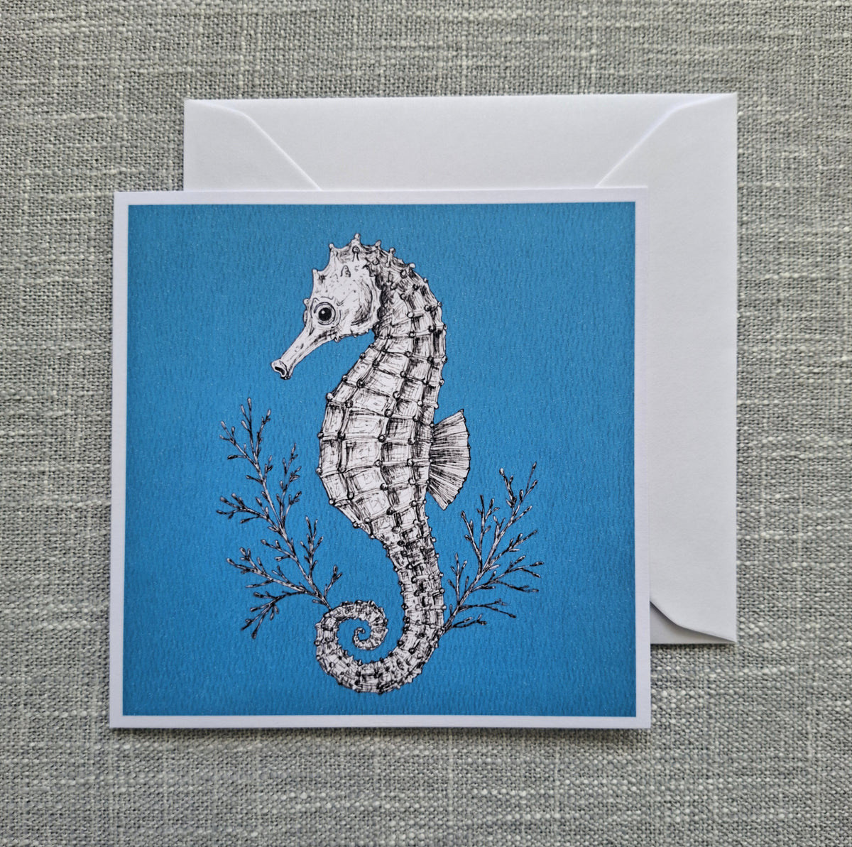 Seahorse blank greeting card 5 x 5 inch