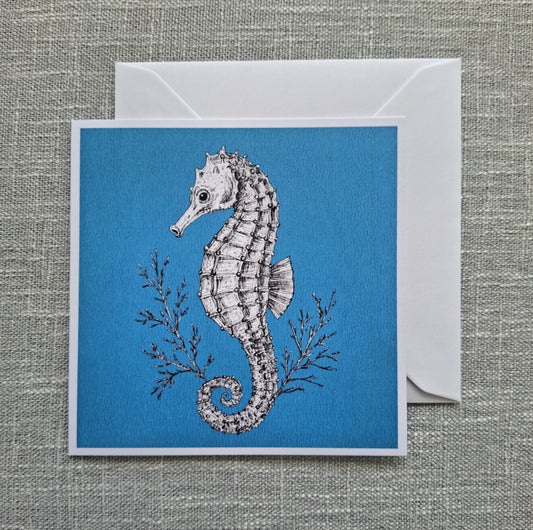 Seahorse blank greeting card 5 x 5 inch