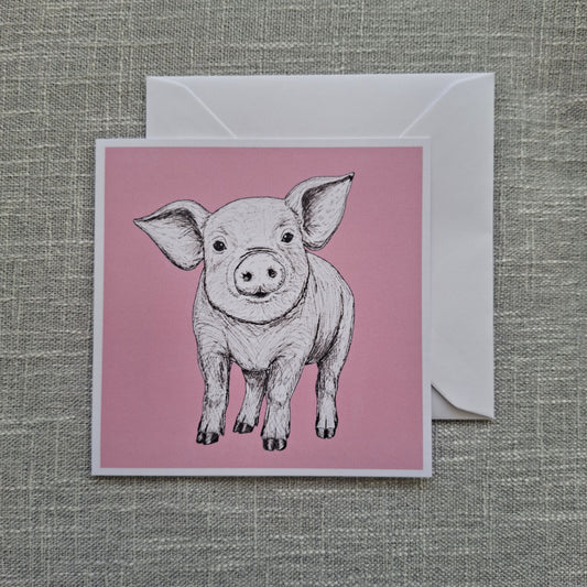 Pig blank greeting card 5 x 5 inch