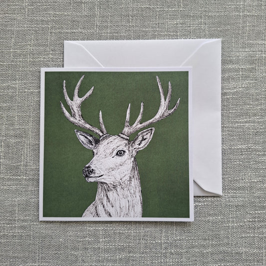 Deer blank greeting card 5 x 5 inch