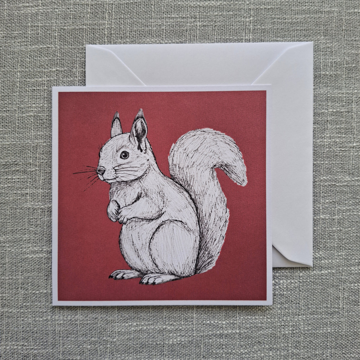 Squirrel blank greeting card 5 x 5 inch