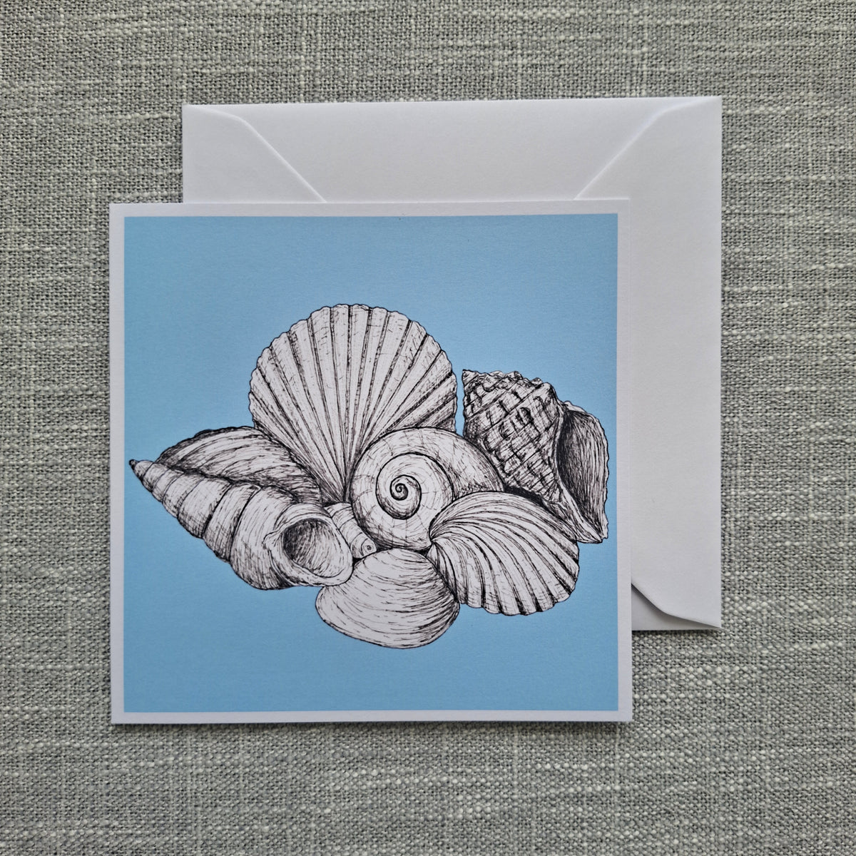 Seashell blank greeting card 5 x 5 inch