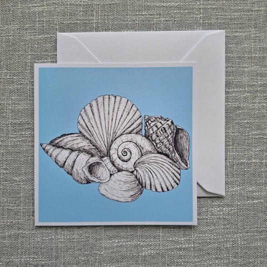 Seashell blank greeting card 5 x 5 inch