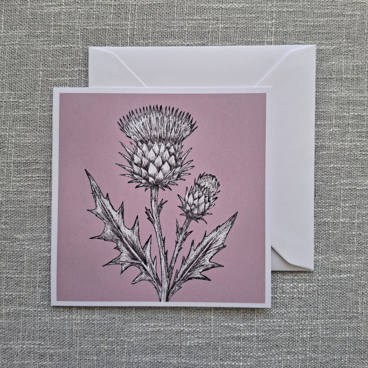 Thistle blank greeting card 5 x 5 inch