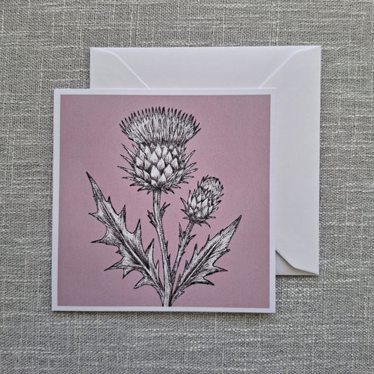 Thistle blank greeting card 5 x 5 inch