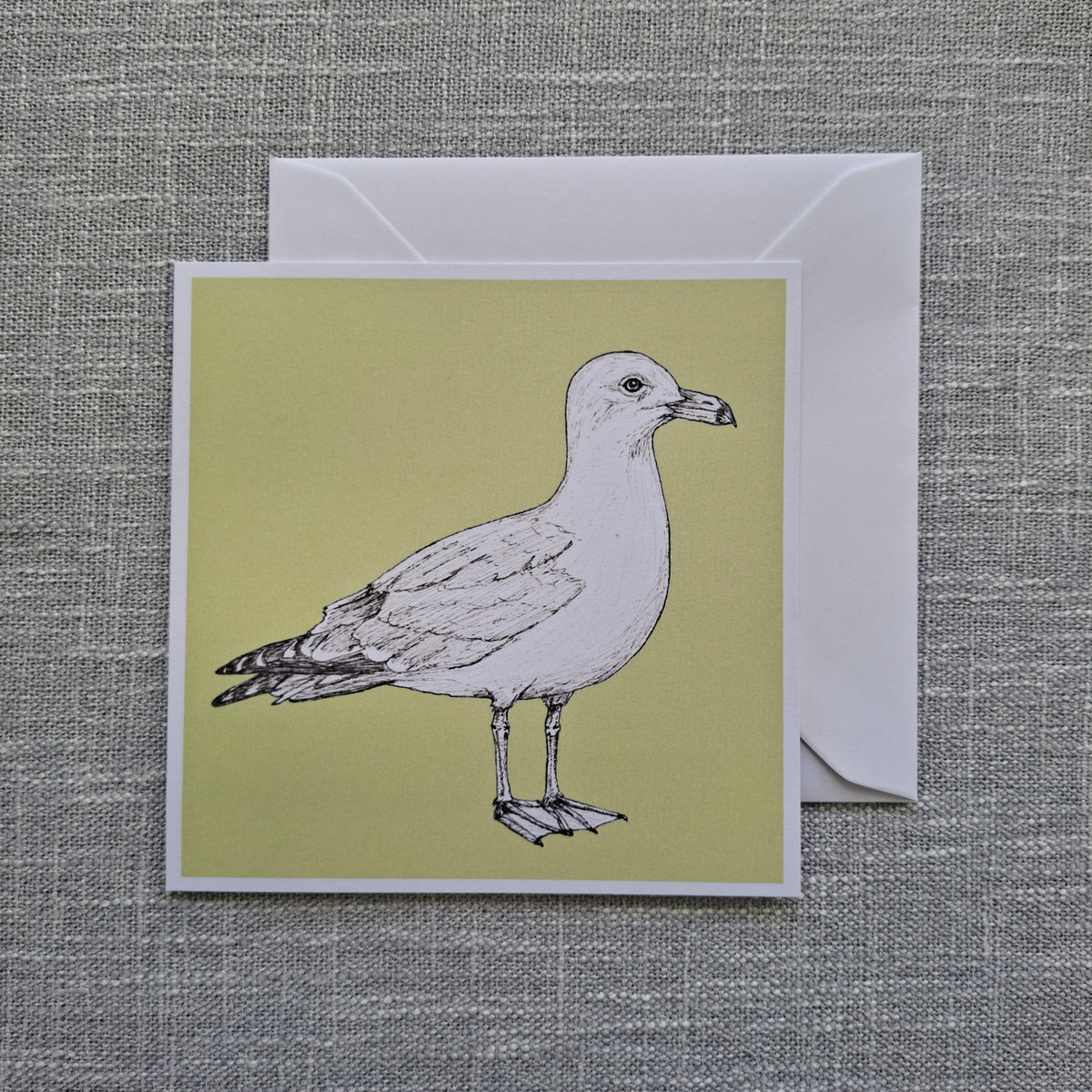 Seagull blank greeting card 5 x 5 inch