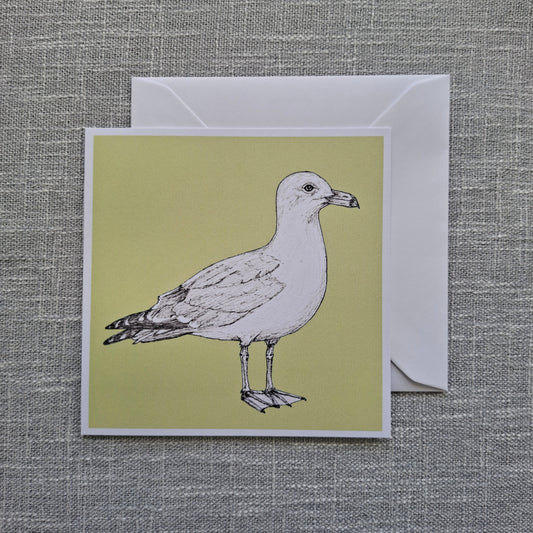 Seagull blank greeting card 5 x 5 inch