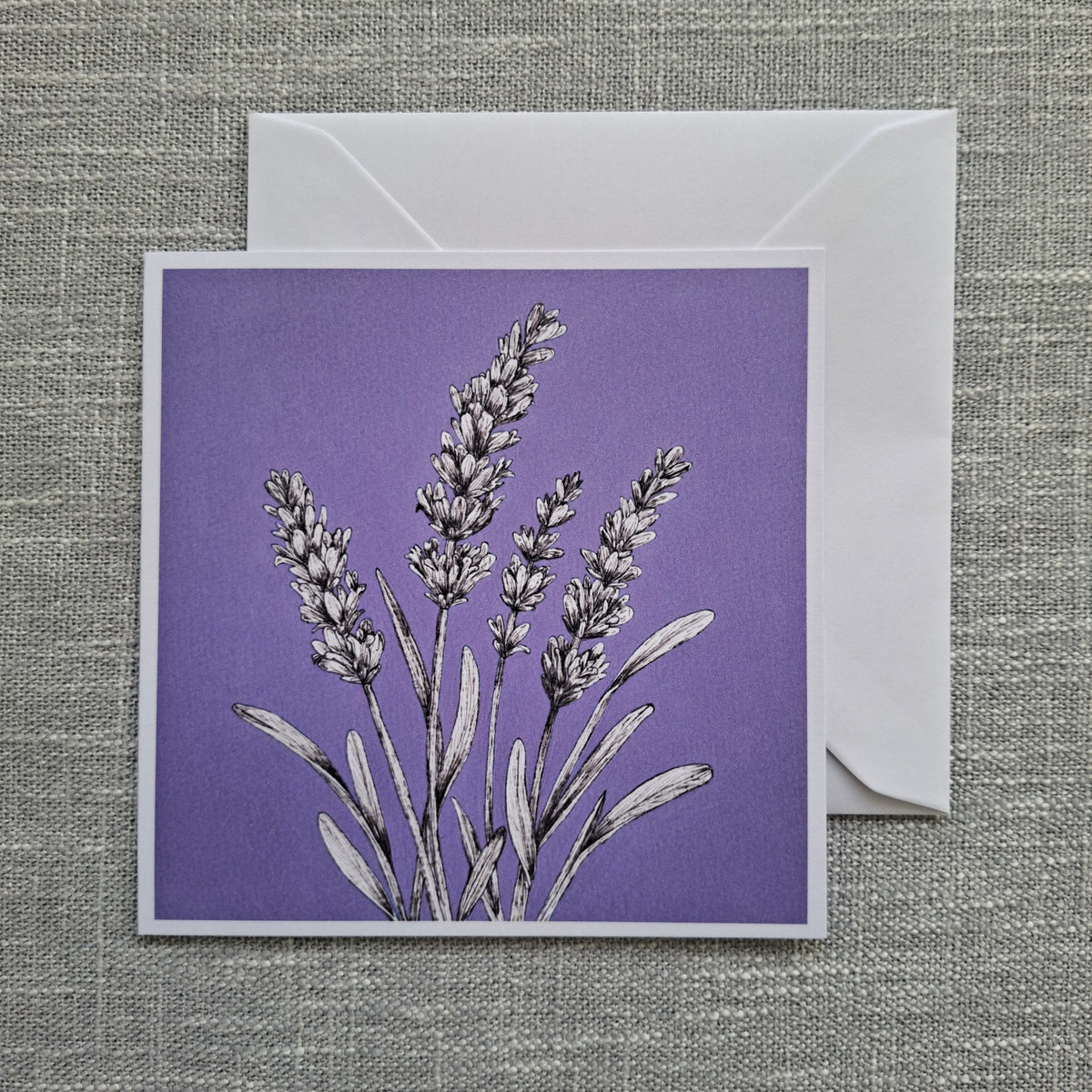 Lavender blank greeting card 5 x 5 inch