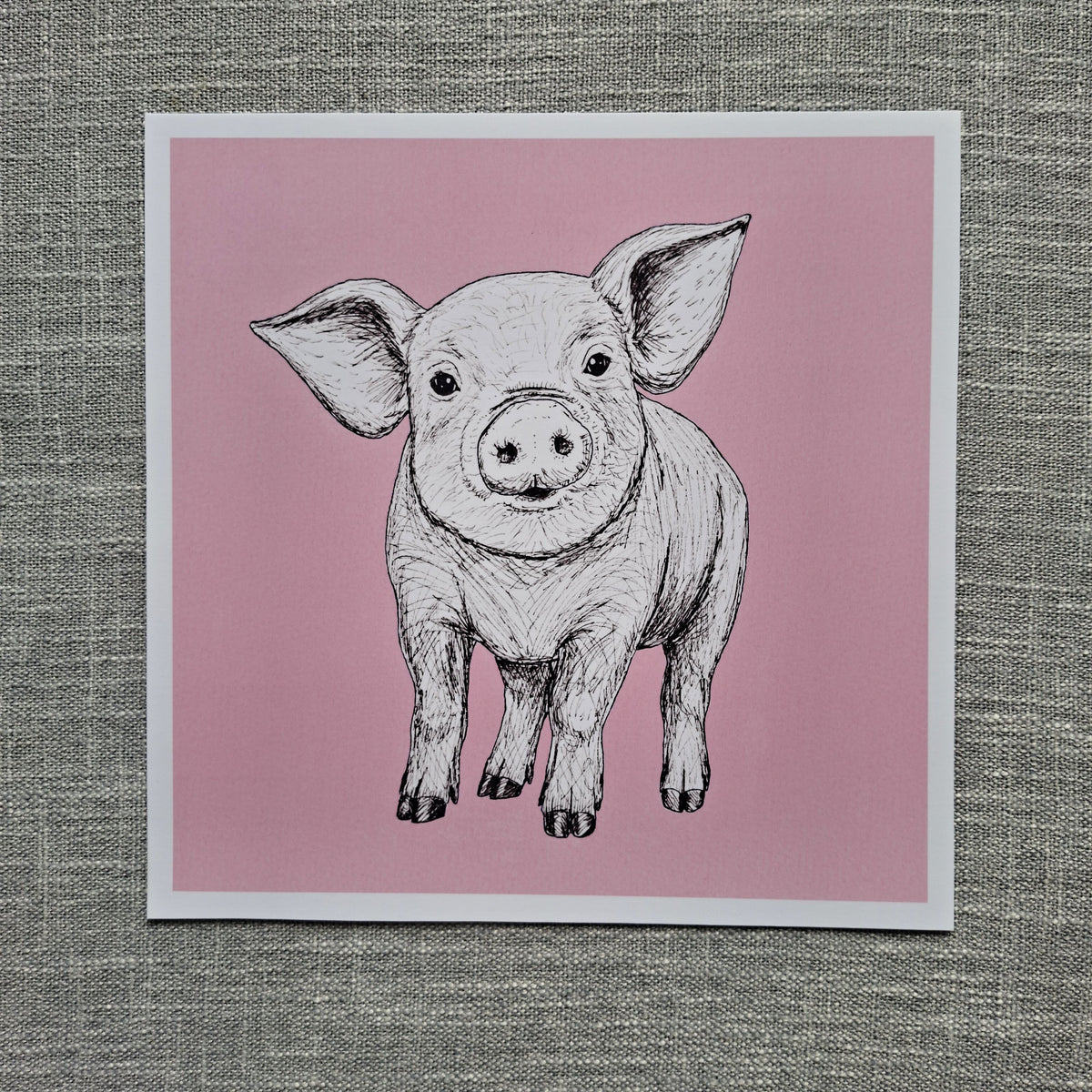 Pig art print 8 x 8 inch unframed