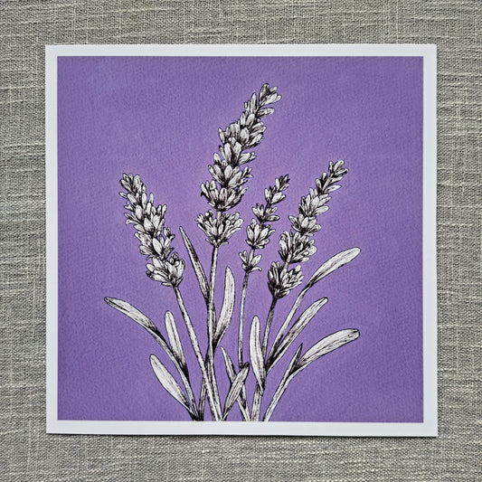 Lavender art print 8 x 8 inch unframed