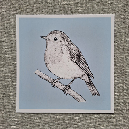 Robin art print 8 x 8 inch unframed