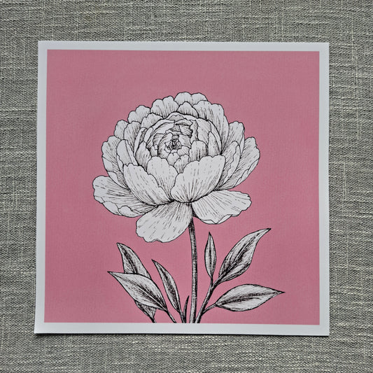 Peony art print 8 x 8 inch unframed