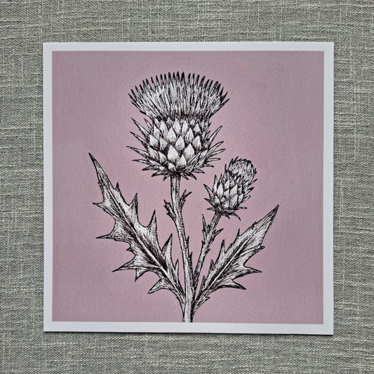 Thistle art print 8 x 8 inch unframed