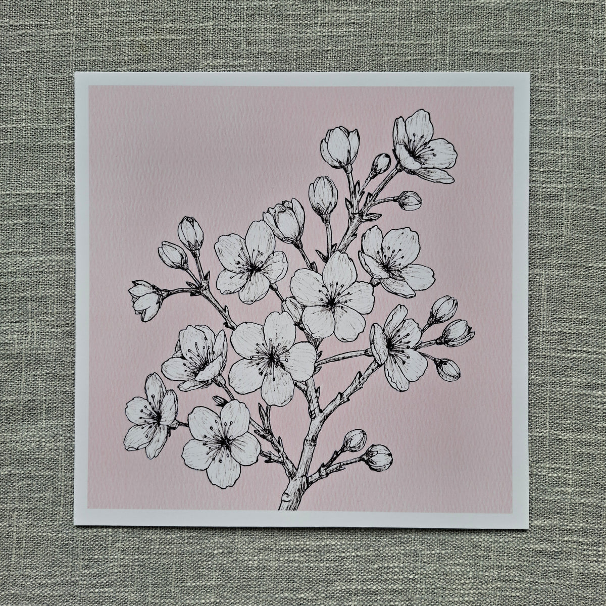 Cherry blossom art print 8 x 8 inch unframed