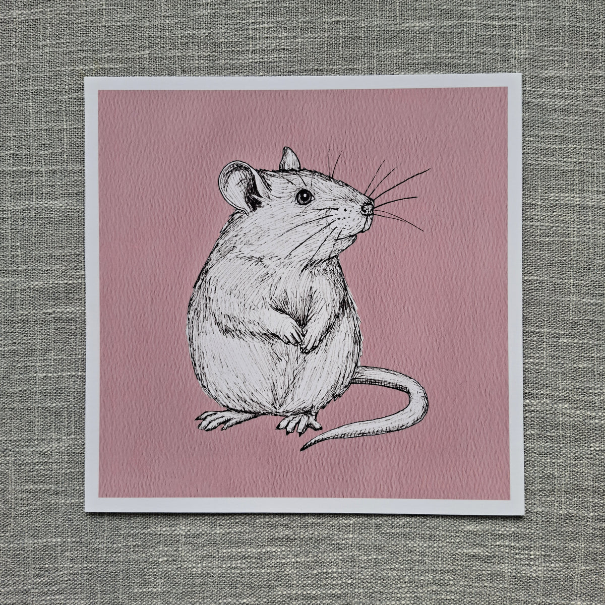 Rat art print 8 x 8 inch unframed