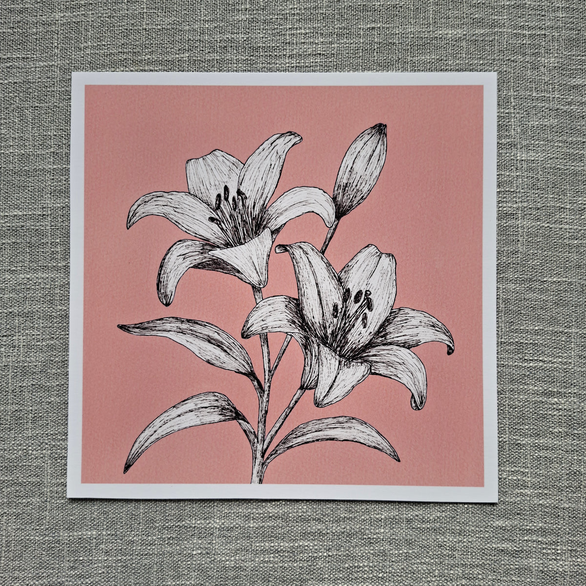 Lily art print 8 x 8 inch unframed