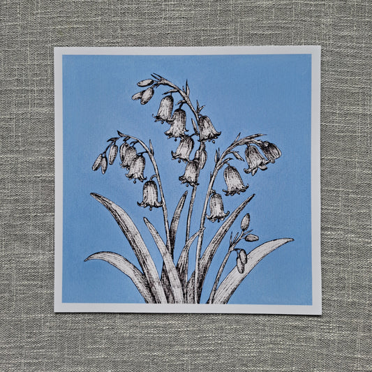 Bluebell art print 8 x 8 inch unframed
