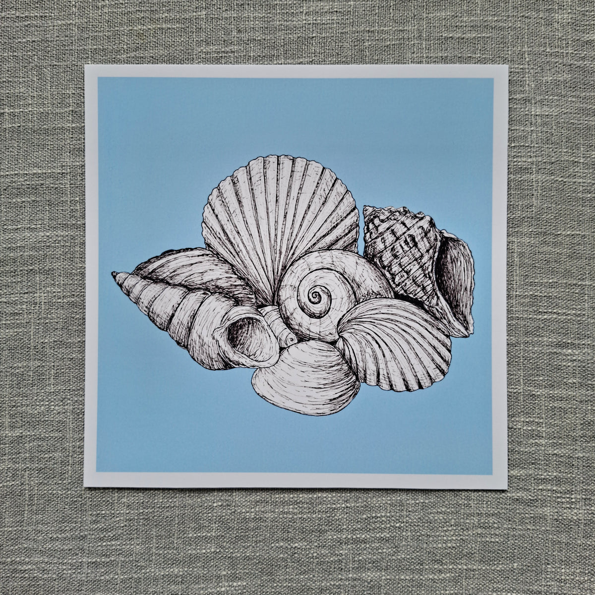 Seashell art print 8 x 8 inch unframed