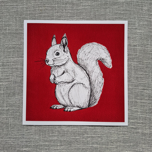 Squirrel art print 8 x 8 inch unframed
