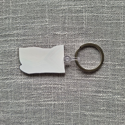 Pride flag acrylic keyring