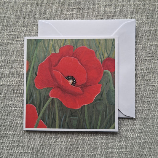 Poppy blank greeting card 5 x 5 inch