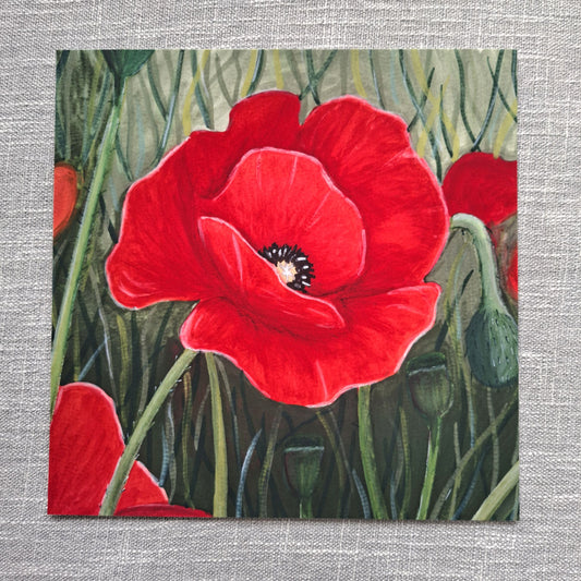 Poppy art print 8 x 8 inch unframed