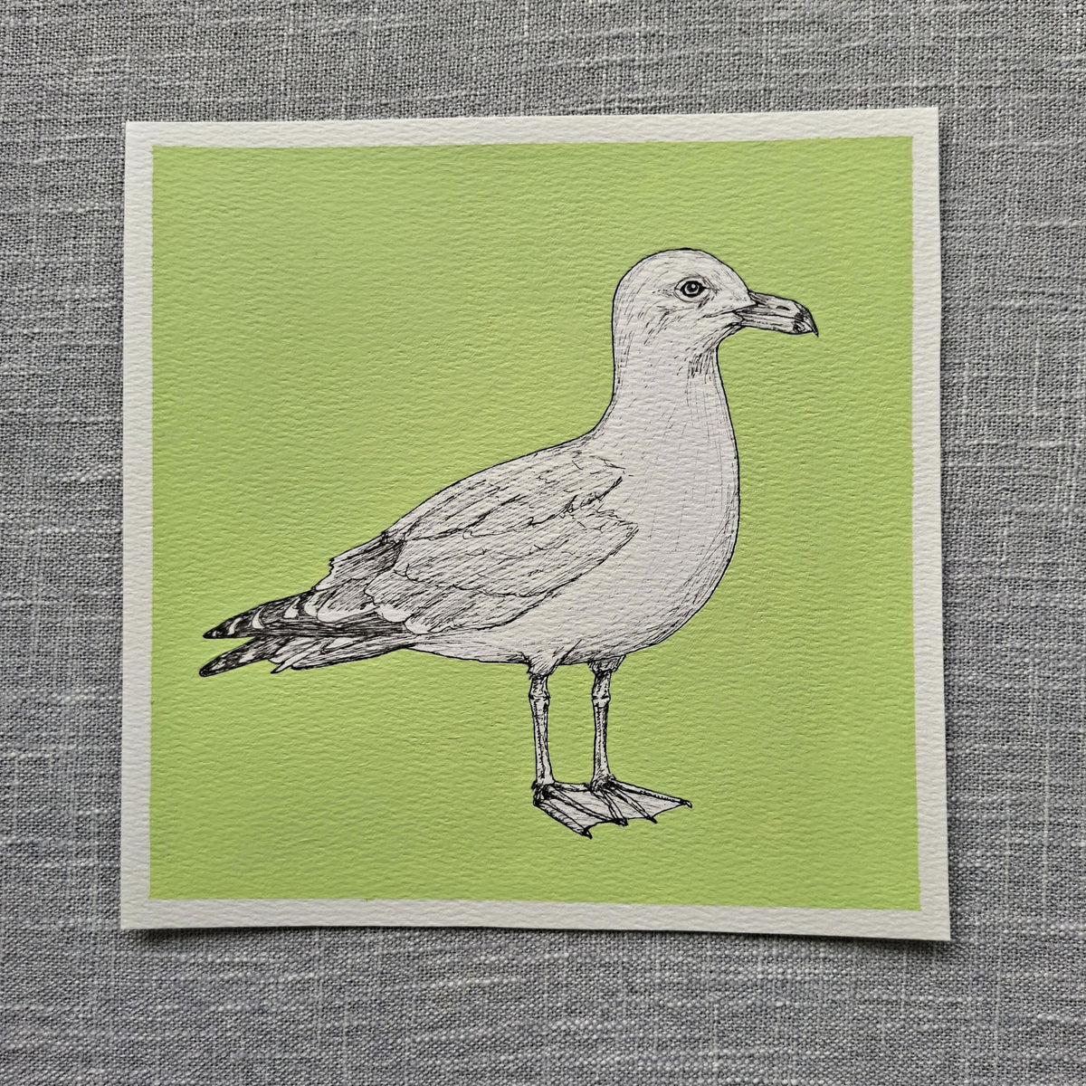 Original Seagull Painting 8 x 8 inch Fineliner and Acrylic Artwork