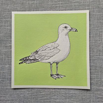 Original Seagull Painting 8 x 8 inch Fineliner and Acrylic Artwork