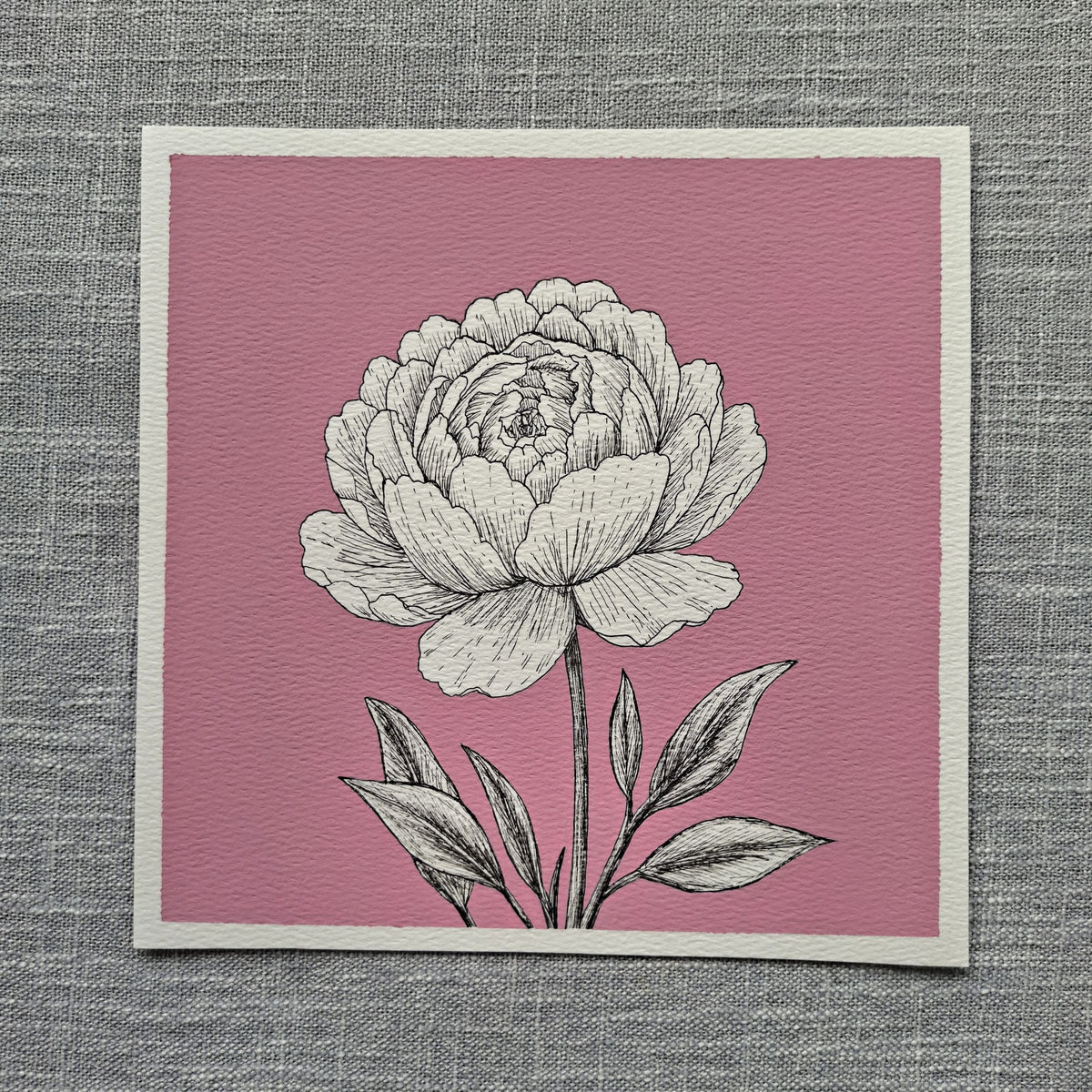Original Peony Painting 8 x 8 inch Fineliner and Acrylic Artwork