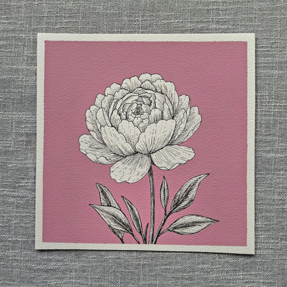 Original Peony Painting 8 x 8 inch Fineliner and Acrylic Artwork